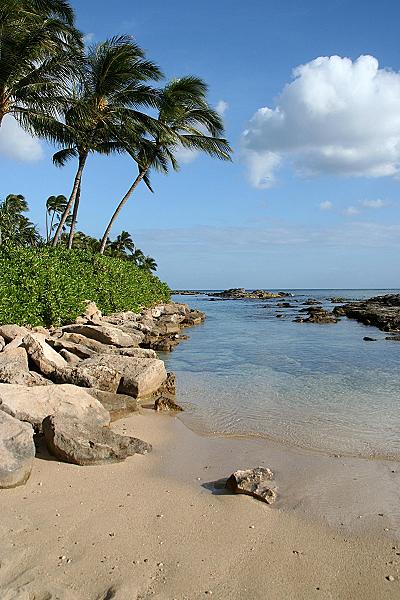 OFERTAS HAWAII